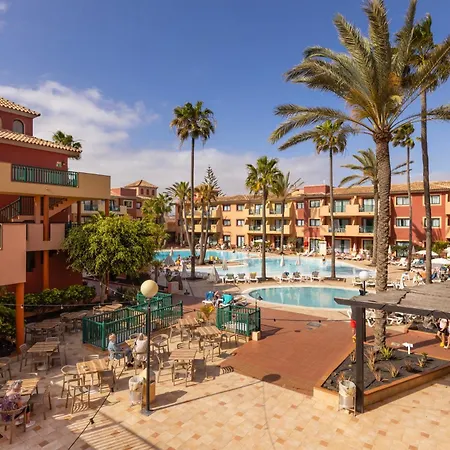 O7 Aloe Corralejo