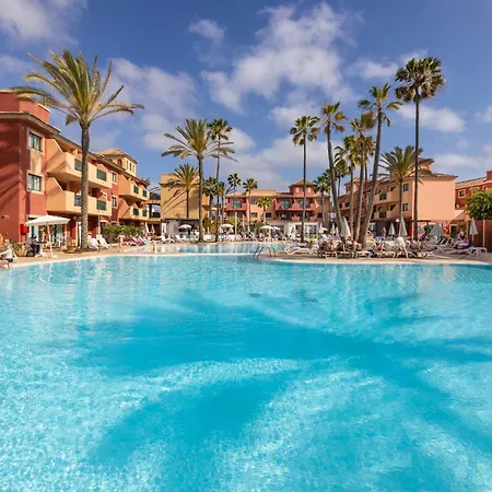 O7 Aloe Corralejo