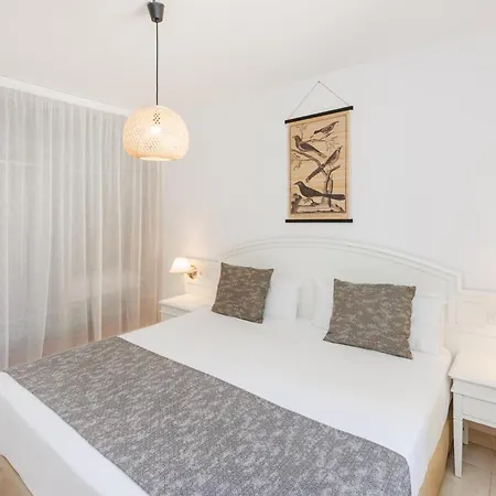 Semesteranläggning (resort) Bluesea Aloe 3*