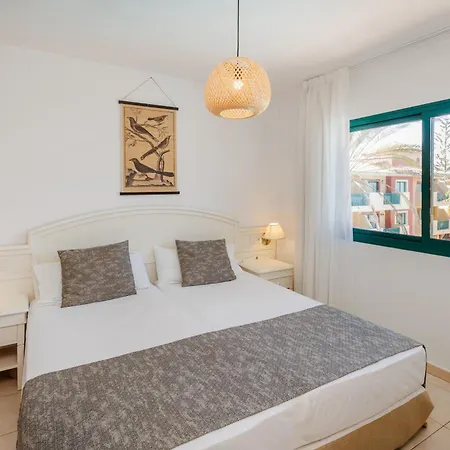 O7 Aloe 3* Corralejo