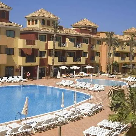 O7 Aloe Corralejo