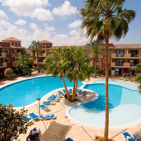 O7 Aloe Corralejo
