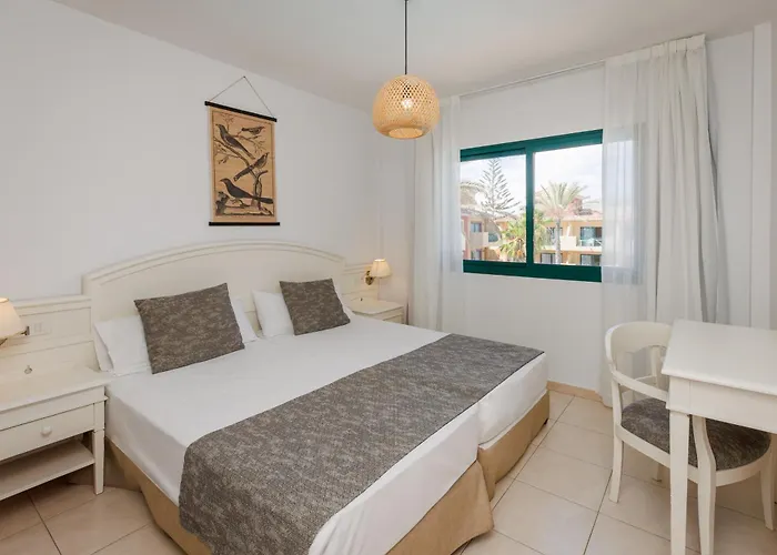 Bluesea Aloe קורלחו